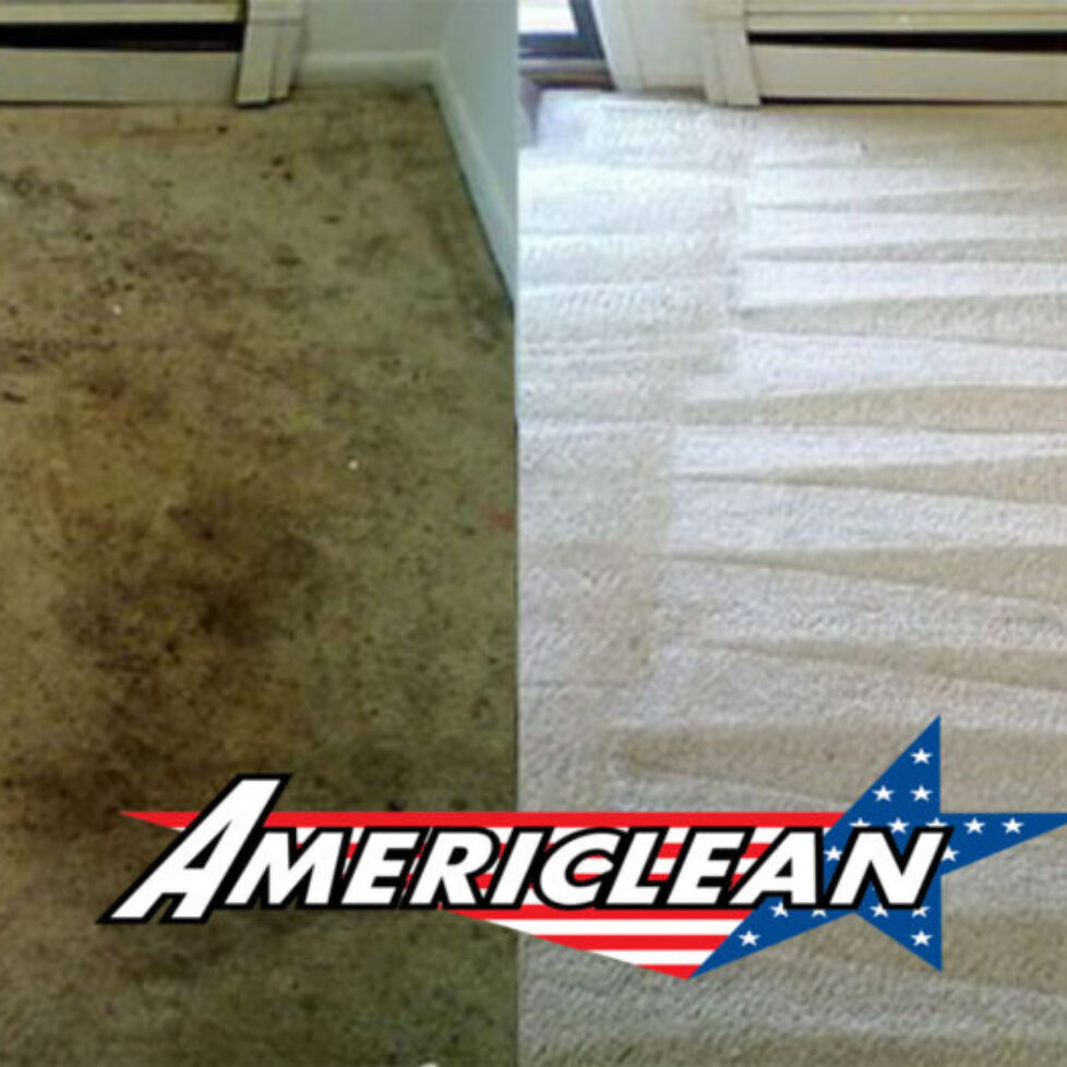 Carpet Cleaning Archives Americlean Iowa